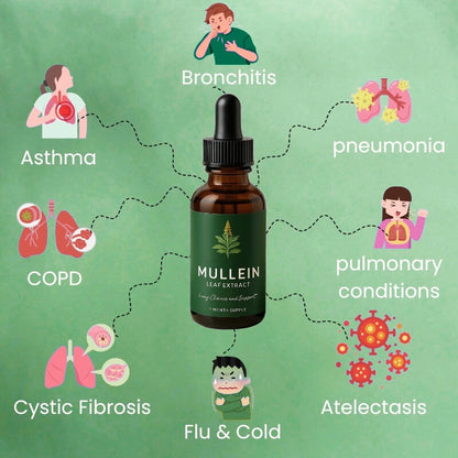 LungLift™ Mullein + Chlorophyll Drops